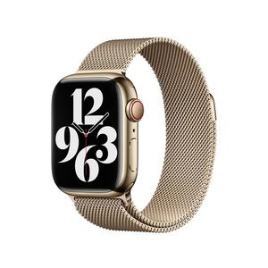 Apple Watch Series 7 GPS & Cellular gold stainless steel case